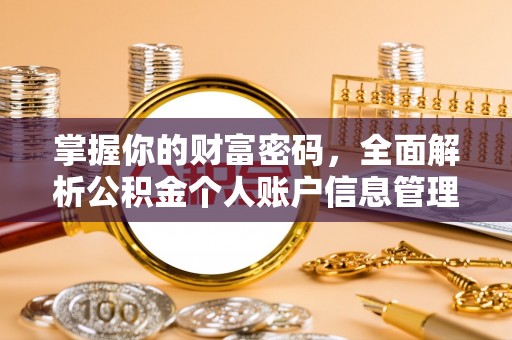 洪雅掌握你的财富密码，全面解析公积金个人账户信息管理与优化