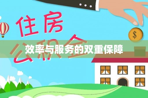 洪雅效率与服务的双重保障