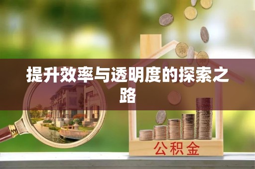 洪雅提升效率与透明度的探索之路