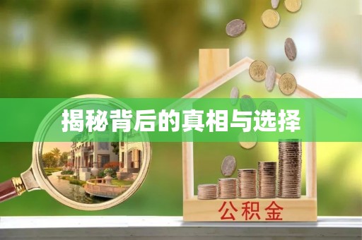 洪雅揭秘背后的真相与选择