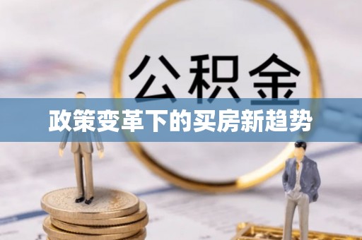 洪雅政策变革下的买房新趋势
