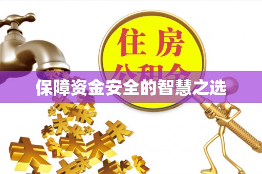 洪雅保障资金安全的智慧之选