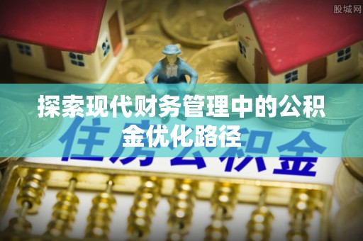 洪雅探索现代财务管理中的公积金优化路径
