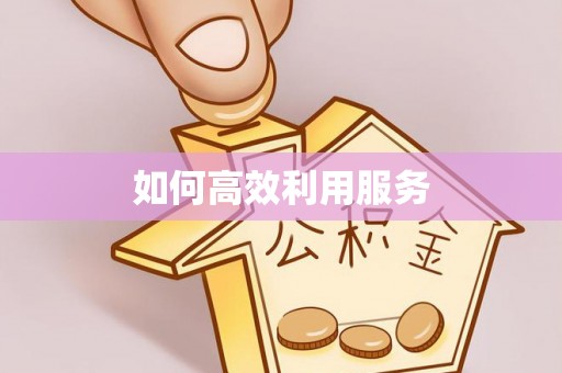 洪雅如何高效利用服务