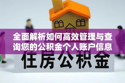 洪雅全面解析如何高效管理与查询您的公积金个人账户信息