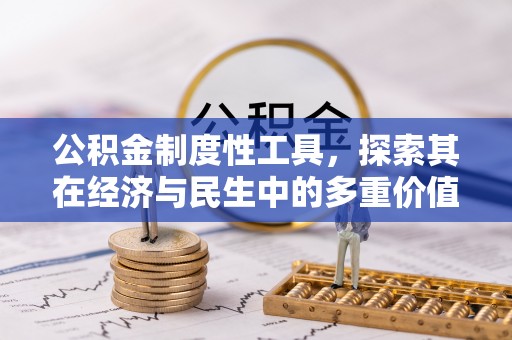 洪雅公积金制度性工具，探索其在经济与民生中的多重价值