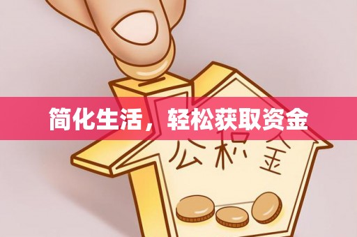 洪雅简化生活，轻松获取资金