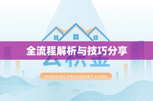 洪雅全流程解析与技巧分享